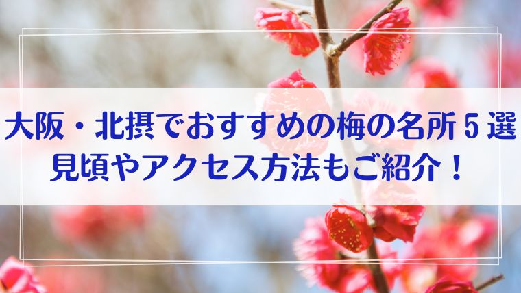 大阪 北摂 梅の名所　おすすめ　見頃　アクセス