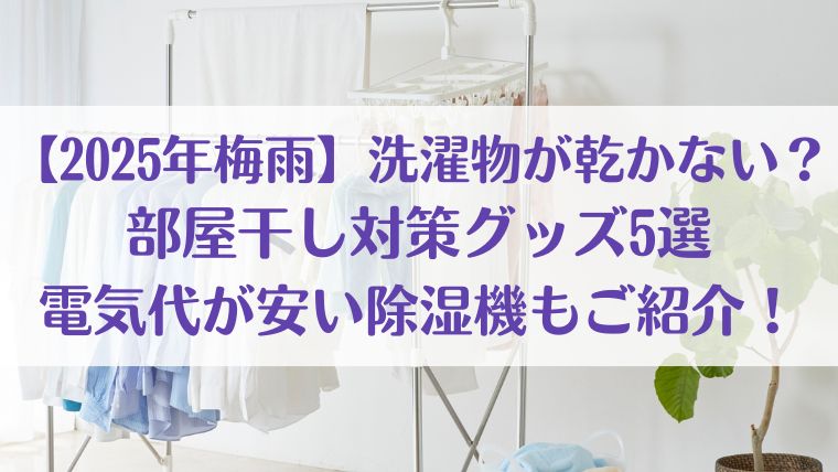 梅雨　2025　洗濯物　部屋干し　除湿　電気代　安い　おすすめ