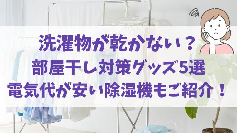 梅雨　2025　洗濯物　部屋干し　除湿　電気代　安い　おすすめ