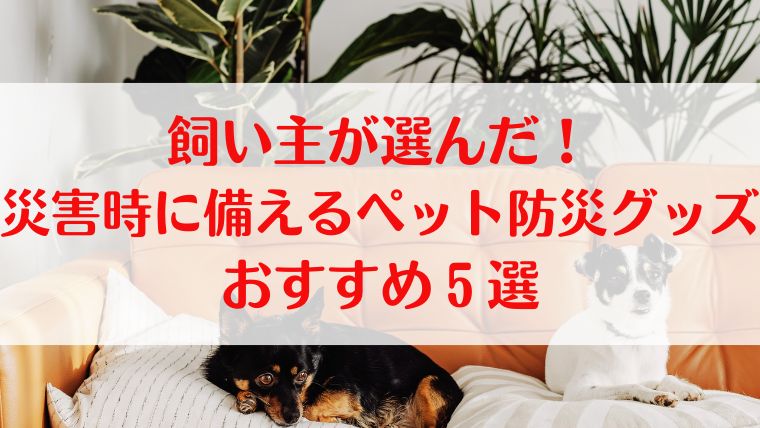 ペット　防災　災害　グッズ　おすすめ　飼い主　Paws＆Prep