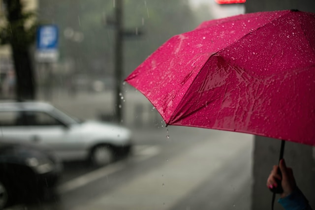 雨 梅雨 傘