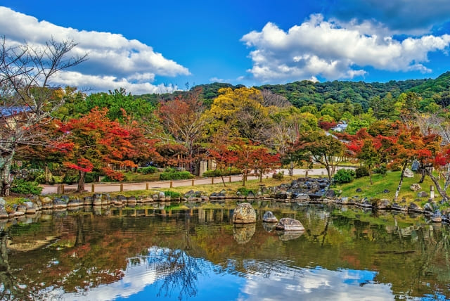 紅葉 京都 景色 秋