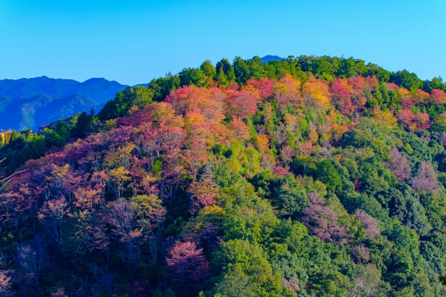 紅葉 奈良 吉野山