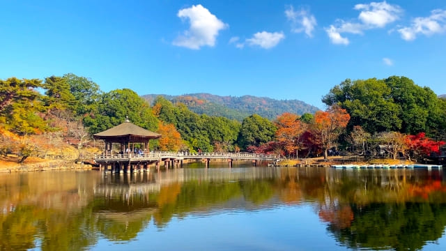 奈良 紅葉 浮見堂