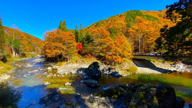 紅葉 川 風景