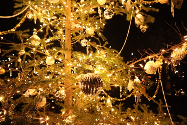 イルミネーション