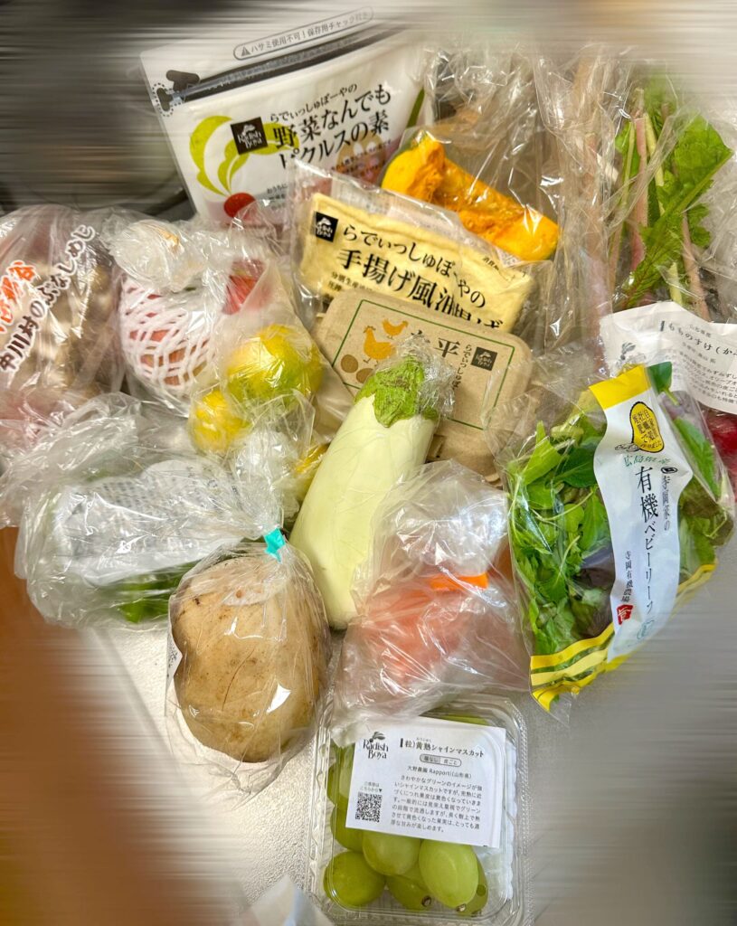 らでぃしゅぼーや　おためしセット　中身　野菜