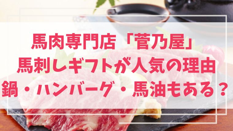 馬肉　菅乃屋　ギフト　お歳暮　人気　おすすめ　鍋　ハンバーグ　馬油